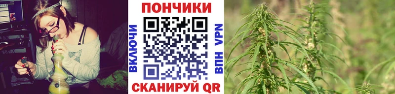 Бошки марихуана Ganja  Купить где  Новотитаровская 